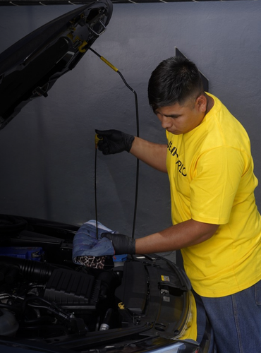 Imagen de Inspección Básica